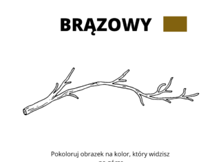 BRĄZOWY kolorowanka do drukowania