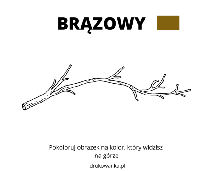BRĄZOWY kolorowanka do drukowania