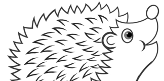 Radosny jeż Radosny jeż kolorowanka do drukowania