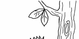 Rodzina jeży Rodzina jeży kolorowanka do drukowania