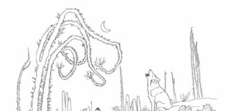 Kojoty nocą Kojoty nocą kolorowanka do drukowania