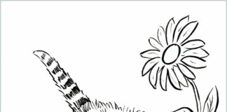 Polujący kot Polujący kot kolorowanka do drukowania