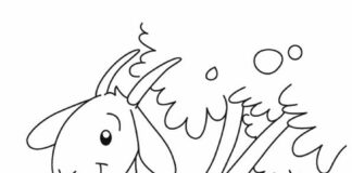 Koza z dzwonkiem Koza z dzwonkiem kolorowanka do drukowania