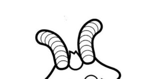 Wesoła koza Wesoła koza kolorowanka do drukowania