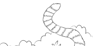 Lemur na spacerze lemur na spacerze kolorowanka obrazek do drukowania