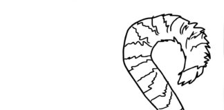 Dziki lemur Dziki lemur kolorowanka do drukowania