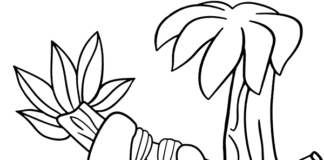 Zwisający leniwiec Zwisający leniwiec kolorowanka do drukowania