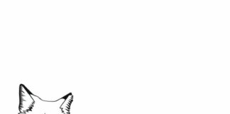 Rudy lis Rudy lis kolorowanka do drukowania