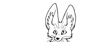 Spokojny lis Spokojny lis kolorowanka do drukowania