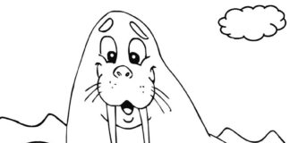 Uśmiechnięty mors Uśmiechnięty mors kolorowanka do drukowania