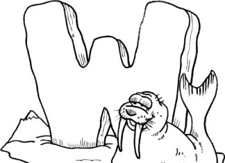 Mors kolorowanka do drukowania