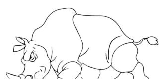 Zły nosorożec Zły nosorożec kolorowanka do drukowania