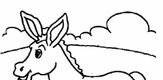 Osiołek na łące Osiołek na łące kolorowanka do drukowania