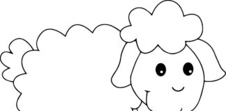 Młoda owca Młoda owca kolorowanka do drukowania