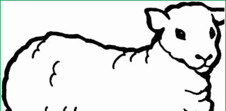 Owca domowa Owca domowa kolorowanka do drukowania