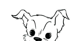 Piesek z kwiatkami Piesek z kwiatkami kolorowanka do drukowania