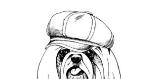 Pies york Pies york kolorowanka do drukowania