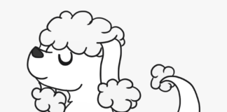 Pies pudel Pies pudel kolorowanka do drukowania