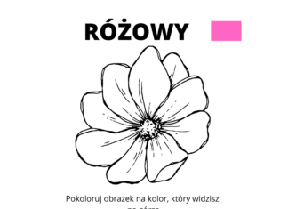 RÓŻOWY kolorowanka do drukowania