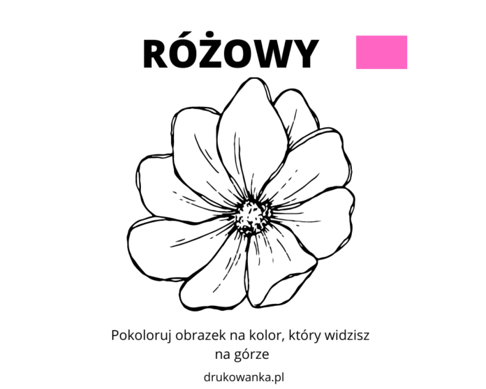 RÓŻOWY kolorowanka do drukowania