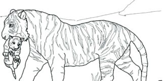 Tygrysek z mamą Tygrysek z mamą kolorowanka do drukowania