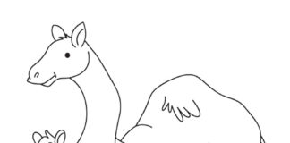 Afrykańskie wielbłądy Afrykańskie wielbłądy kolorowanka do drukowania