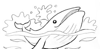 Wieloryb w oceanie wieloryb kolorowanka do drukowania