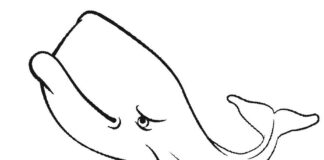 Pływające wieloryby wieloryb kolorowanka obrazek do druku