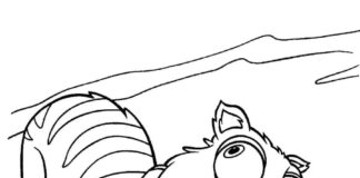 Wiewiórka z bajki Wiewiórka z bajki kolorowanka do drukowania