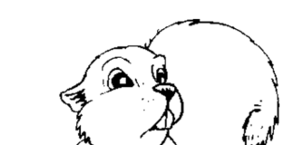 Puszysta wiewiórka Puszysta wiewiórka kolorowanka do drukowania