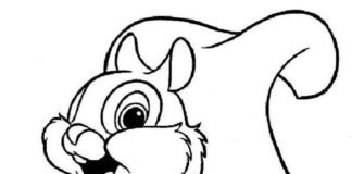 Uśmiechnięta wiewiórka wiewiórka kolorowanka obrazek do drukowania