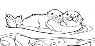 Nurkująca wydra wydra kolorowanka obrazek do drukowania