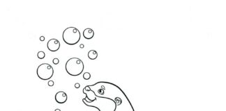 Pływające wydry wydra kolorowanka obrazek do drukowania