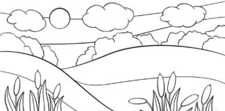 Obserwator wydra wydra kolorowanka obrazek do drukowania