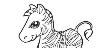 Zebra z bajki zebra kolorowanka obrazek do drukowania