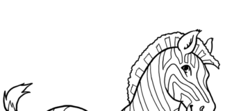 Dorosła zebra zebra kolorowanka obrazek do drukowania