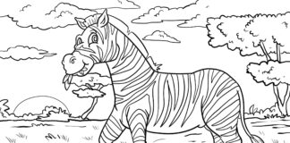 Zebra na obiedzie zebra kolorowanka obrazek do drukowania
