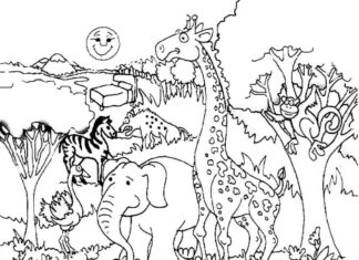 Zwierzęta z dżungli Zwierzęta z dżungli kolorowanka do drukowania