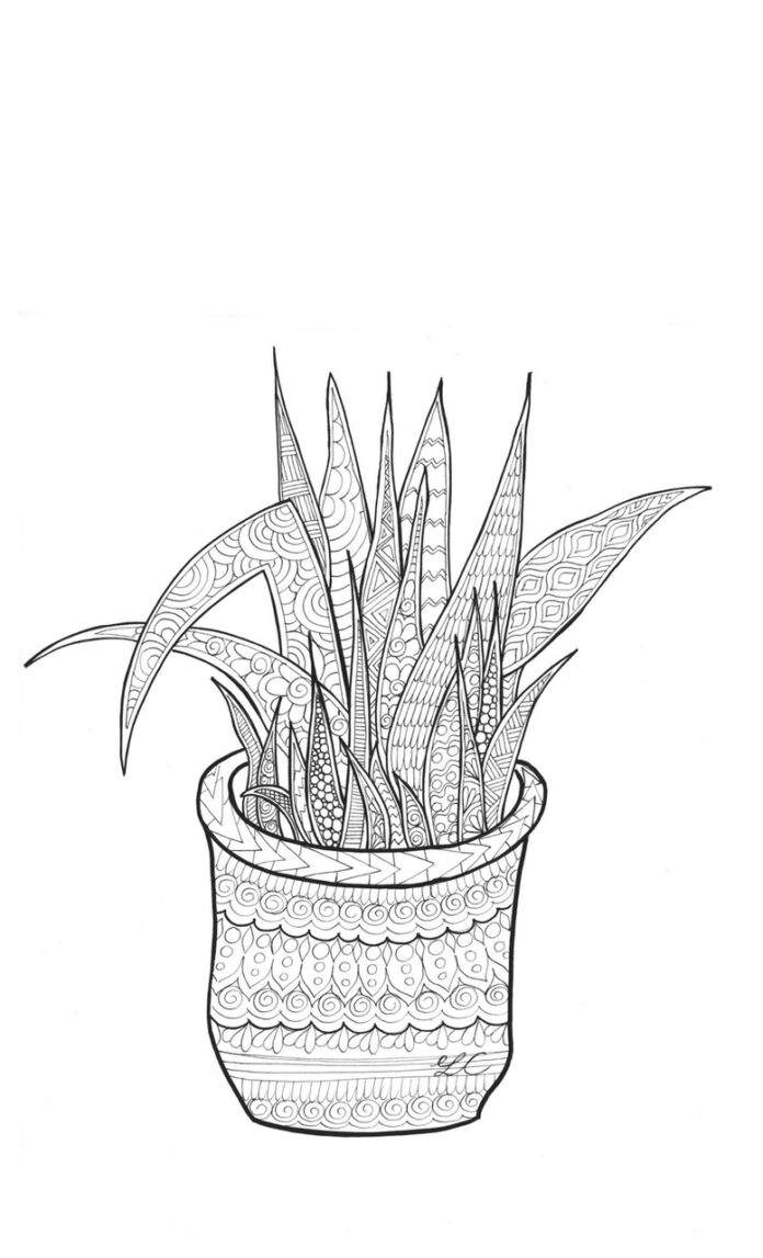 aloes kwiat zentangle kolorowanka do drukowania