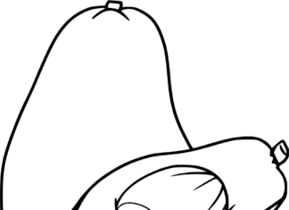 Awokado rysunek obrazek do drukowania