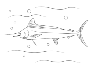 Biały Marlin biały marlin kolorowanka do drukowania