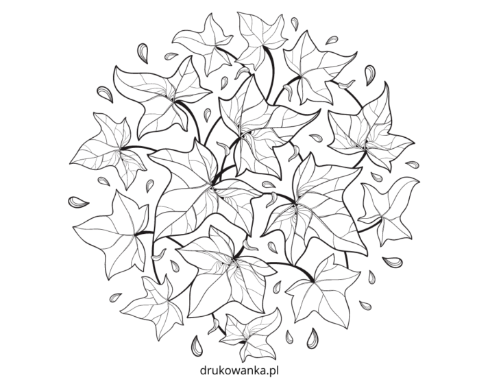 bluszcz w ogrodzie kolorowanka do drukowania