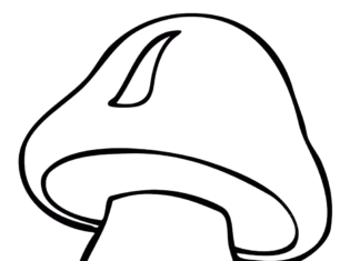 Borowik – grzyby jadalne borowik - grzyby jadalne kolorowanka do drukowania