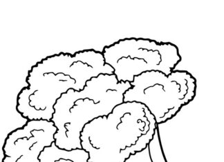 Brokuł dla dzieci Brokuł dla dzieci kolorowanka do drukowania