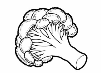 brokuł rysunek kolorowanka do drukowania