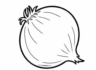 cebula dla dzieci kolorowanka do drukowania