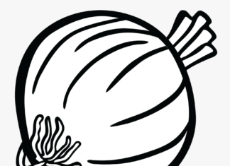 cebula rysunek kolorowanka do drukowania