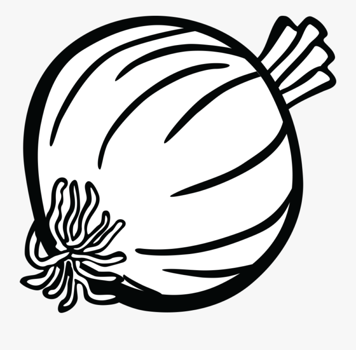 cebula rysunek kolorowanka do drukowania