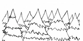 czysty las kolorowanka do drukowania