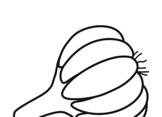 dojrzały czosnek kolorowanka do drukowania